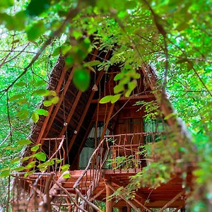 Tree House Ambasewana Habarana